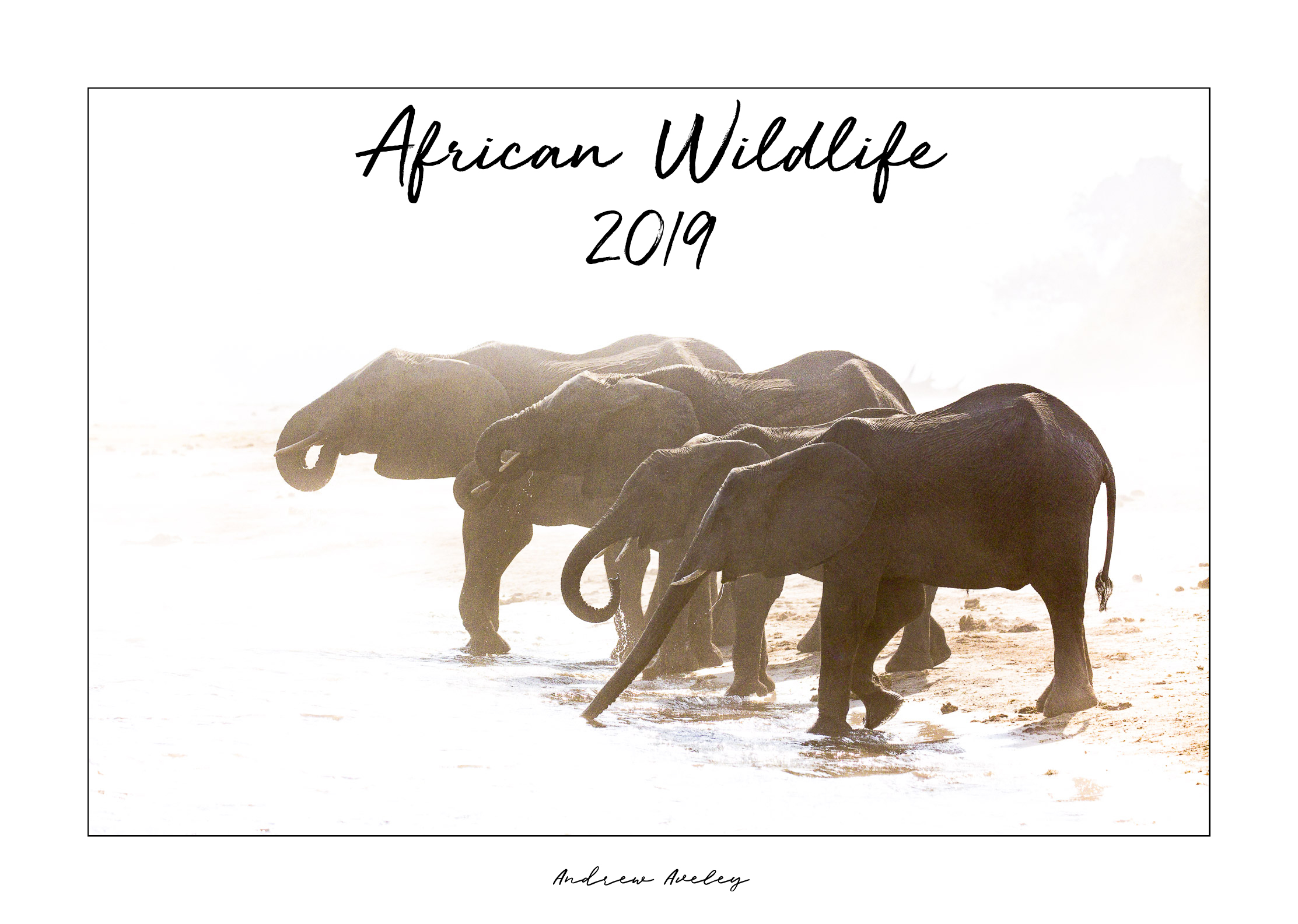 Calendars Of Africa