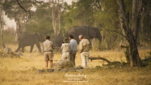 Zimbabwe - New Horizons Journey Andrew Aveley
