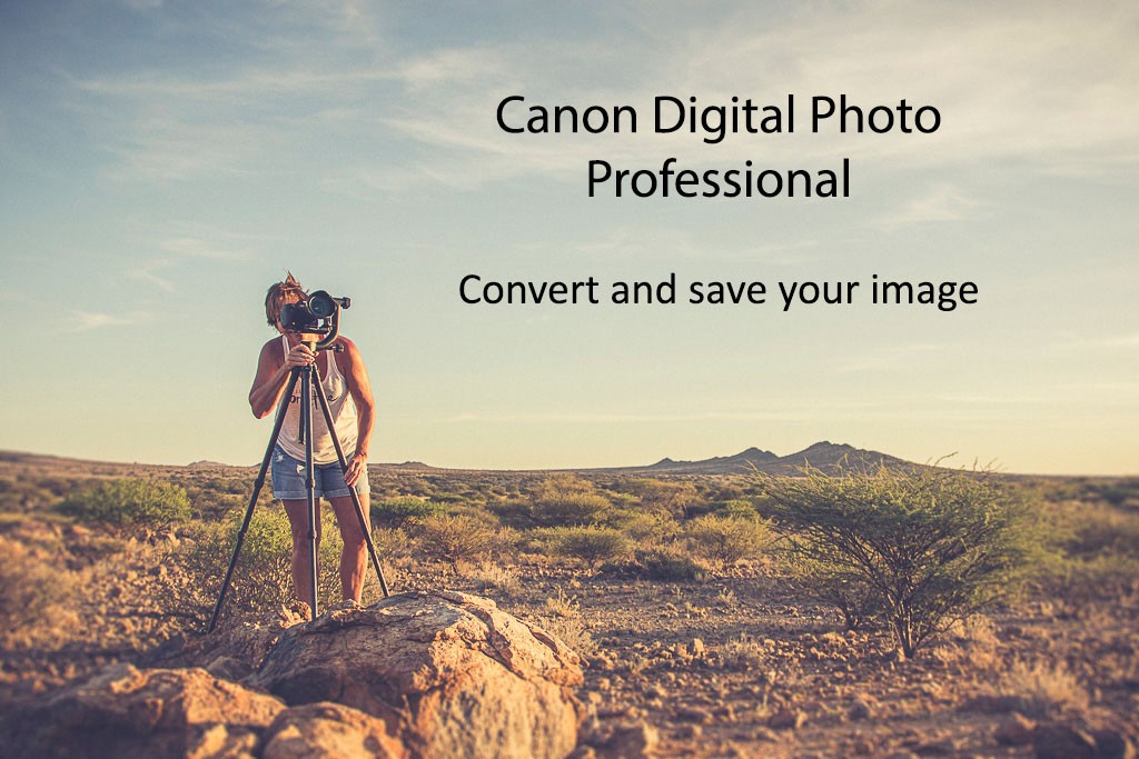 Canon Digital Photo Professional Convert and Save