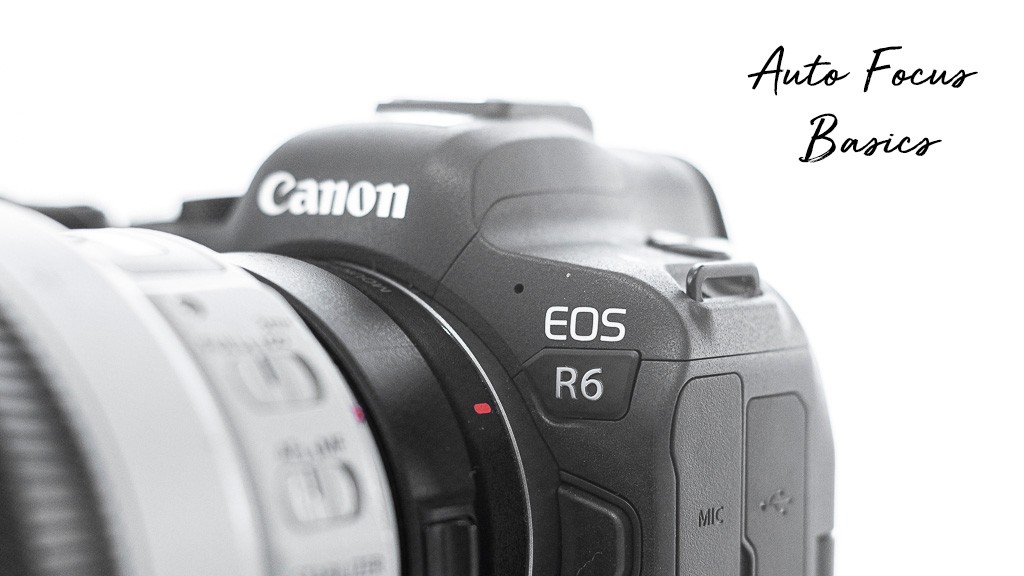 My Expert Review Canon R6 Auto Focus